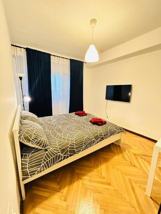 Cosy Apartment #12Lunipebega Temešvár Exteriér fotografie